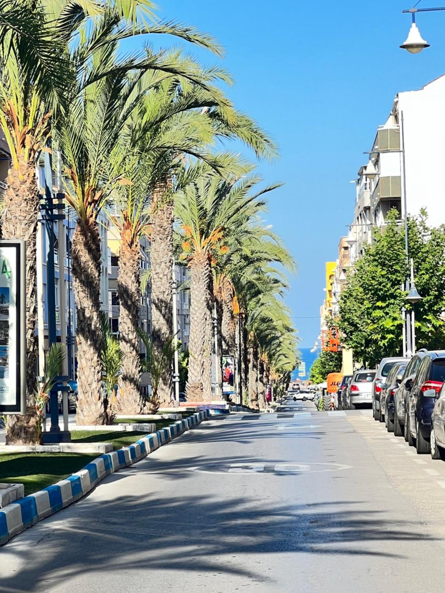 Renovated Cosy Studio 350 M Playa Del Cura, With Official Touristic License تورّيفيِخا المظهر الخارجي الصورة